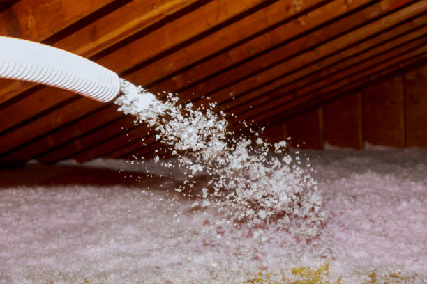 Best Residential Insulation in Westway, TX