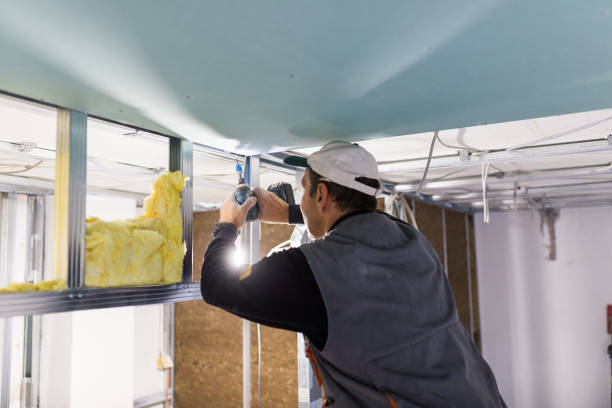 Types of Insulation We Offer in Westway, TX