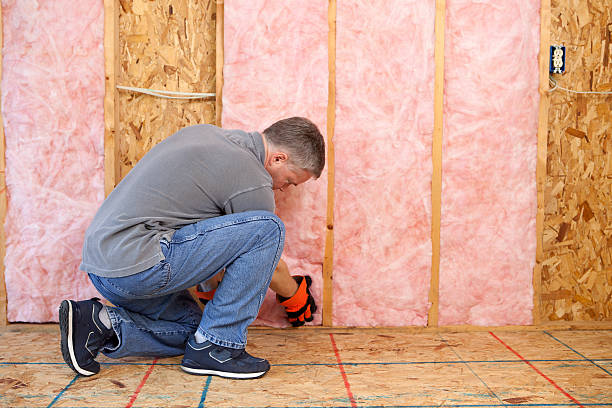 Best Eco-Friendly Insulation in Westway, TX